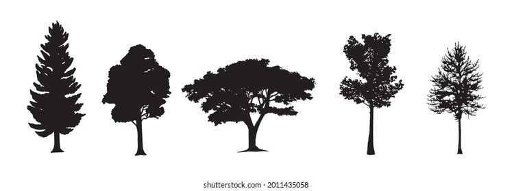 Trees silhouettes. Vector isolated retro images nature set. Forest and park pines firs and spruces, coniferous and deciduous trees