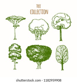Trees sketch set, hand drawing graphic forest, isolated vector illustration, silhouette elements black and white