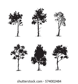 Trees sketch set, hand drawing graphic forest, isolated vector illustration, silhouette elements black and white