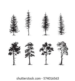 Trees sketch set, hand drawing graphic forest, isolated vector illustration, silhouette elements black and white