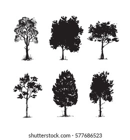 Trees sketch set, hand drawing graphic forest, isolated vector illustration, silhouette elements black and white