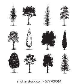 Trees sketch set, hand drawing graphic forest, isolated vector illustration, silhouette elements black and white