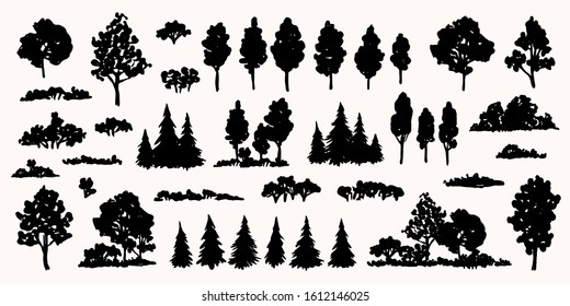 Trees sketch set. Hand drawn graphic forest. Vector illustration of different trees, shrubs and grass isolated on white background