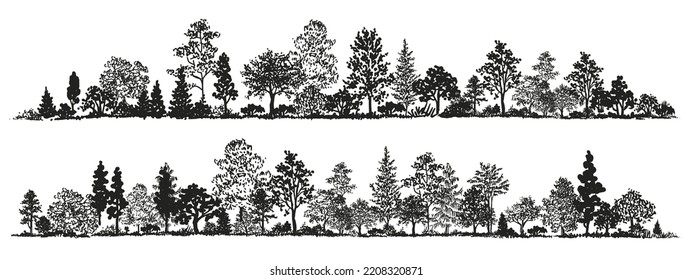 Juego de boceto de árboles. Bosque gráfico dibujado a mano. Composición de diferentes árboles, arbustos y hierba aislados en fondo blanco. Ilustración del vector