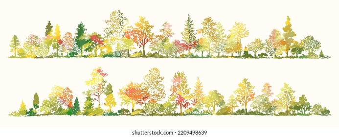 Juego de boceto de árboles. Bosque gráfico de otoño dibujado a mano. Composición de diferentes árboles coloridos, arbustos y hierba aislados en el fondo. Ilustración del vector