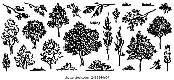 Trees sketch set. Hand drawn graphic forest. Vector illustration of different trees, shrubs and grass isolated on white background