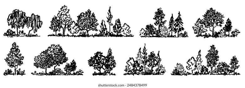 Conjunto de bocetos de árboles. Bosque gráfico dibujado a mano. Composición de diferentes árboles, arbustos y hierba aislados sobre fondo blanco. Ilustración vectorial