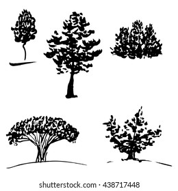 Trees sketch set, hand drawn