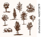 Trees sketch set, vintage illustration, clipart eps 10 hand drawn vector illustration isolated on white background