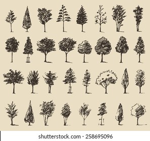 Trees sketch set, vintage illustration, engraved style, hand drawn