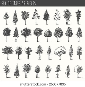 Trees sketch set, vintage illustration, engraved style, hand drawn