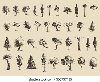 Trees sketch set, vintage illustration, engraved style, hand drawn