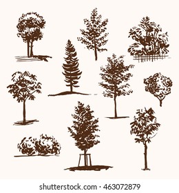 Trees sketch set, vintage illustration, clipart eps 10 hand drawn vector illustration isolated on white background