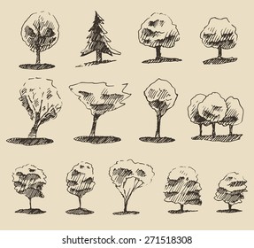 Trees sketch set, vintage vector illustration, engraved style, hand drawn