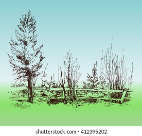 Trees sketch. Vector illustration.
