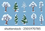 Trees with snow branches. Coniferous and deciduous plants. Winter snowdrifts in park. Evergreen spruce greenery. Snowy cypress and birch. Cold season nature. Wild forest