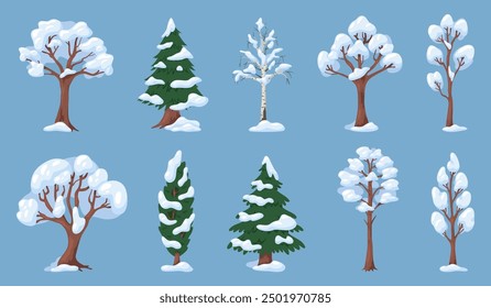 Trees with snow branches. Coniferous and deciduous plants. Winter snowdrifts in park. Evergreen spruce greenery. Snowy cypress and birch. Cold season nature. Wild forest