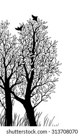 Trees and soaring birds a couple of branches. The sketch in vector format.