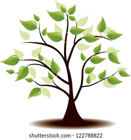 Trees sprout in the spring