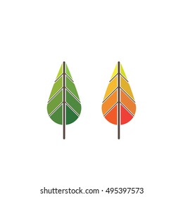 Trees summer and autumn