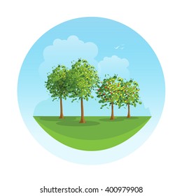 Trees templates vector illustration for forest, forest trees landscape example with abstract leaves, blue sky, clouds, birds, grass field, blooming trees with shadow flat cartoon design isolated
