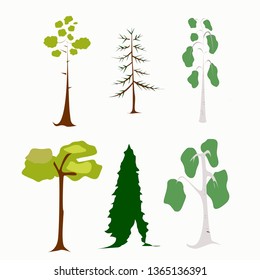 trees that grow in a mixed forest
