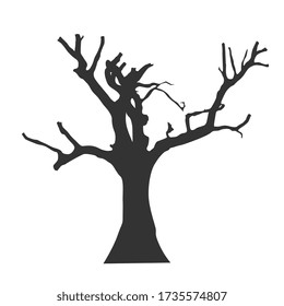 Trees that have dried and died silhouette. Silhouette Tree