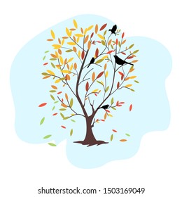 trees there are birds in autumn with colorful leaves
