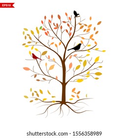 trees there are birds in autumn with colorful leaves