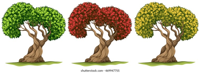 Trees in three different color leaves illustration