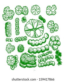 Trees top view for architecture landscape design projects