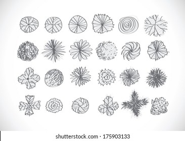 Trees Top View Architecture Landscape Design Stock Vector (Royalty Free ...