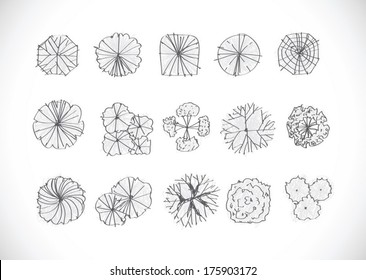 Trees top view for architecture landscape design projects