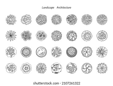 Trees top view for architecture landscape design projects. Vector illustration. EPS 10