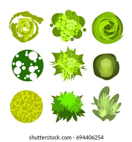 Trees top view for architecture landscape design projects