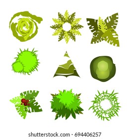 Trees top view for architecture landscape design projects