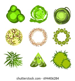 Trees top view for architecture landscape design projects