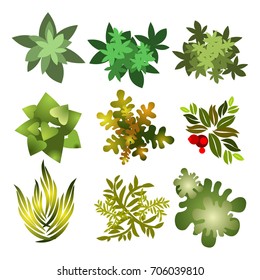 Trees top view for architecture landscape design projects