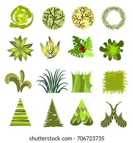 Trees top view for architecture landscape design projects