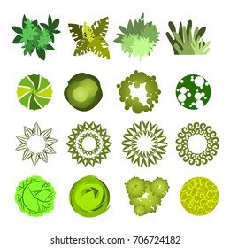 Trees top view for architecture landscape design projects