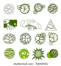 Trees top view for architecture landscape design projects