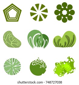 Trees top view for architecture landscape design projects