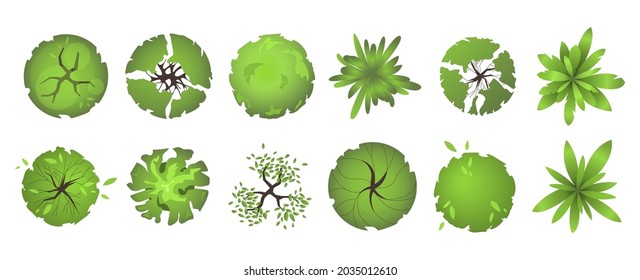 Trees top view. Different colored plants and trees vector set for architectural and landscape design. Graphic, isolated on white. Vector illustration. Elements for design projects. Green spaces.