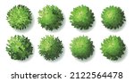 Trees top view. Different plants and trees vector set for architectural or landscape design. (View from above) Nature green spaces.