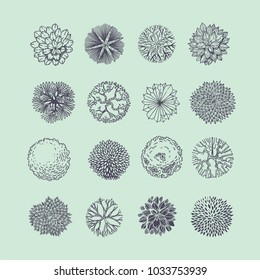 Trees top view. Different plants and trees vector set for architectural or landscape design. View from above