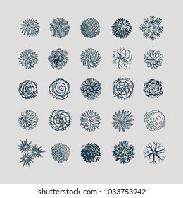 Trees top view. Different plants and trees vector set for architectural or landscape design. View from above