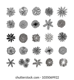 Trees top view. Different plants and trees vector set for architectural or landscape design. View from above