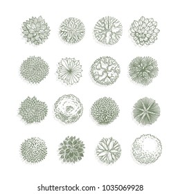 Trees top view. Different plants and trees vector set for architectural or landscape design. View from above