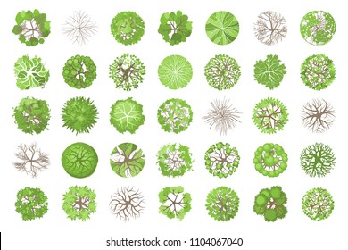 Trees Bush Item Top View Landscape Stock Vector (Royalty Free) 255135745