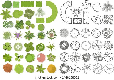 Trees top view. Different trees, plants vector set for architectural or landscape design. Set of linear and color flat 
illustration